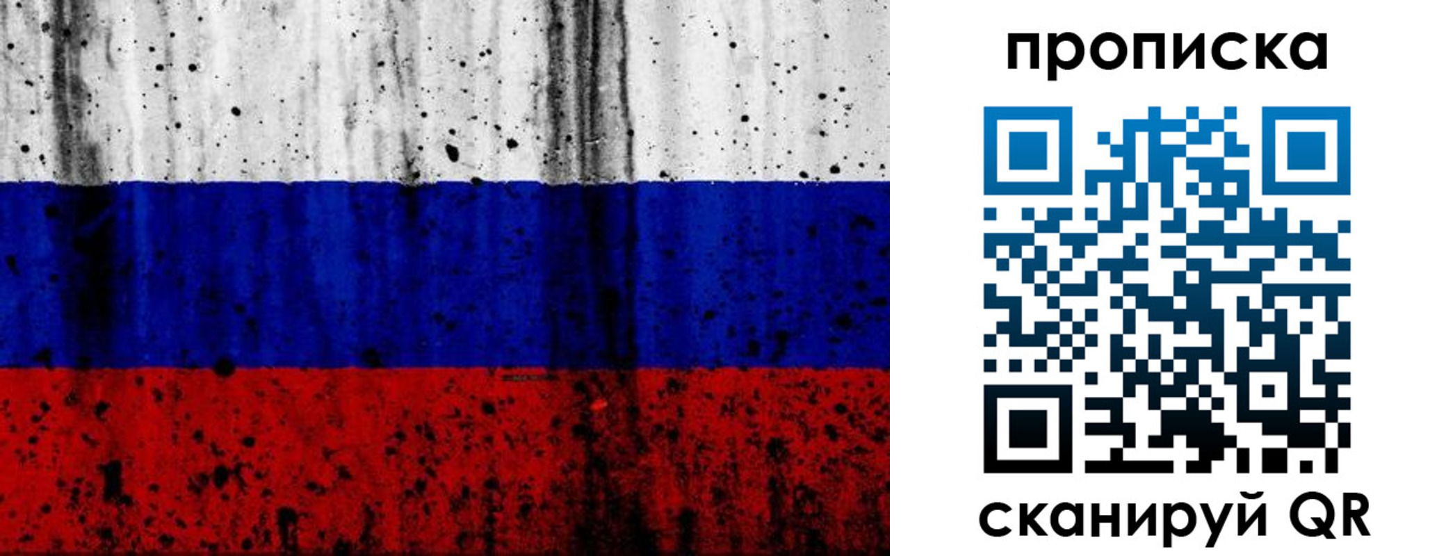прописка поиск в Порхове